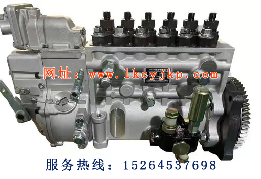 High pressure oil pump