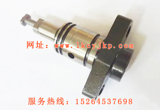 Injector plunger