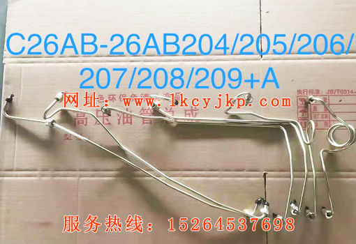 High pressure oil pump